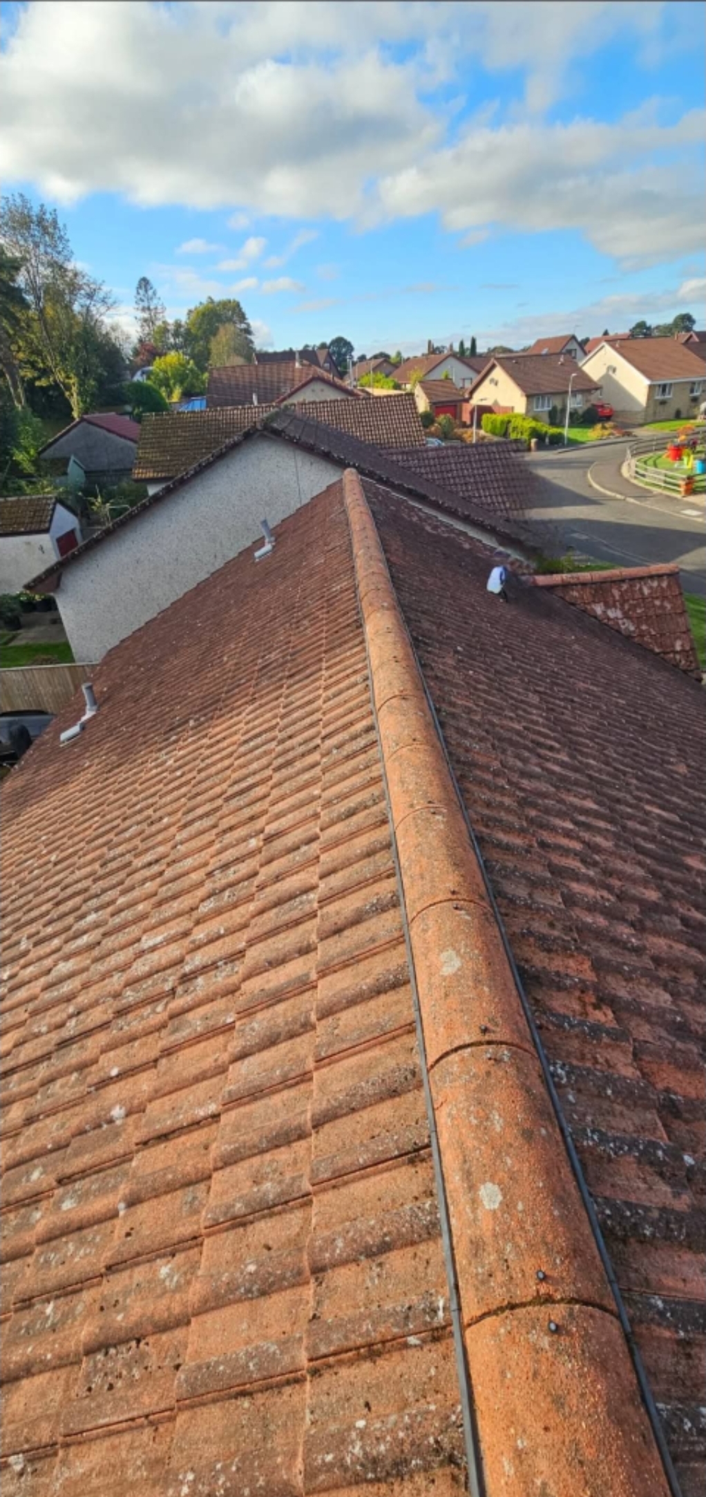 Clay tile roof after cleaning