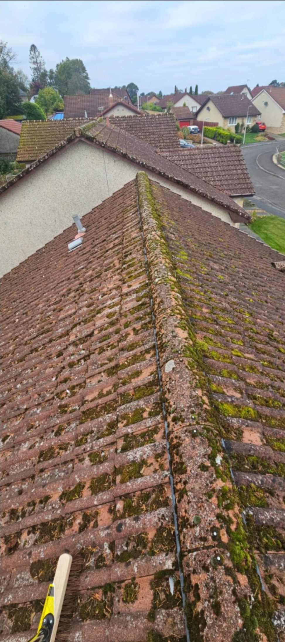 Roof before moss removal treatment